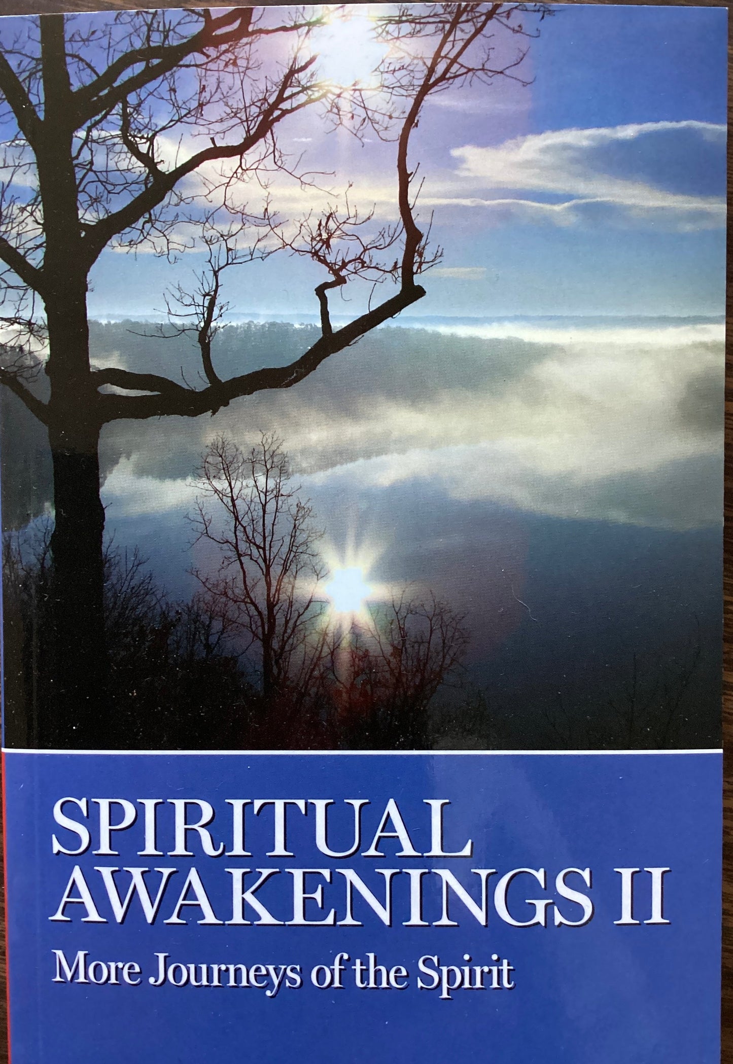 Spiritual Awakenings II GV23