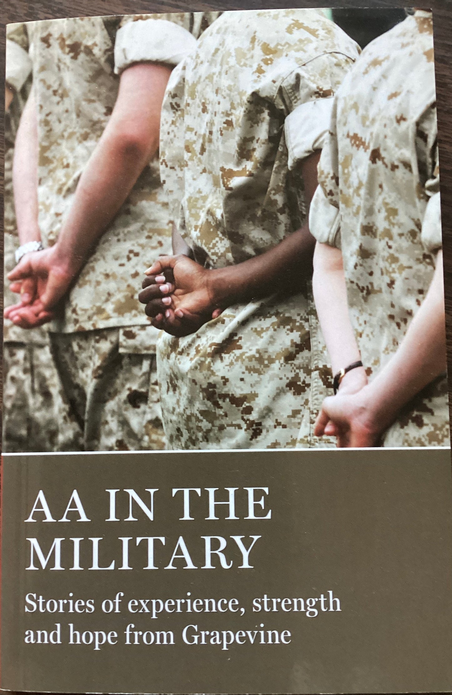 AA in the Military GV38