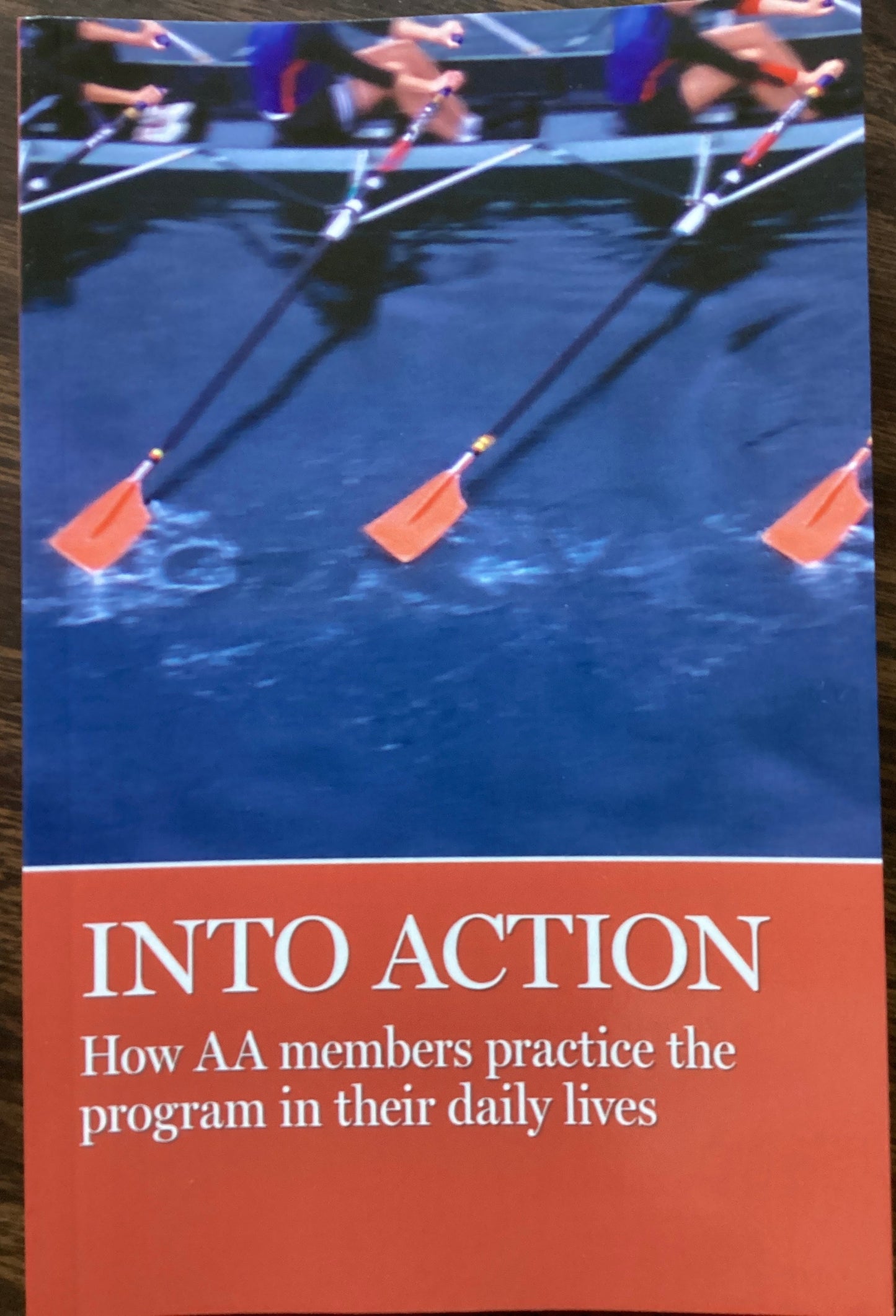 Into Action-Stories from GV28