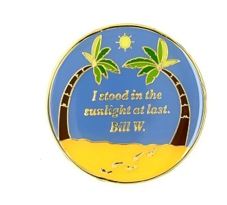 AA Anniversary Coin Flamingo Beach