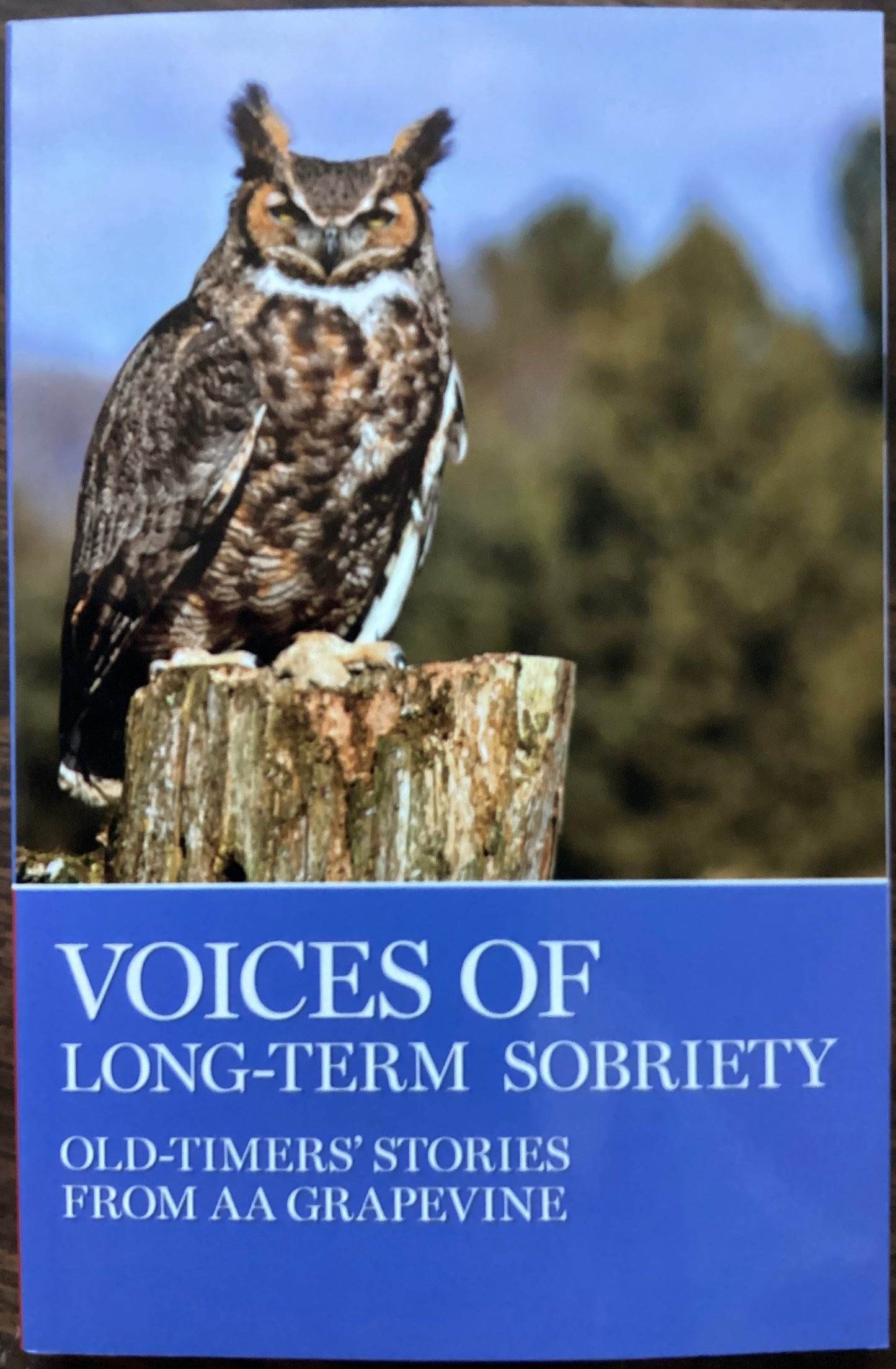 Voices Of Long-Term Sobriety GV21