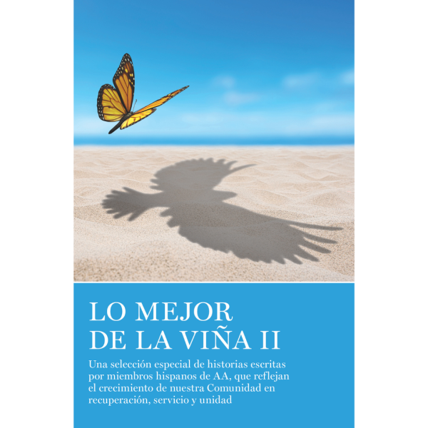 Lo Mejor De La Viña II SGV05
