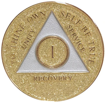 AA Anniversary Coins (Glitter) hi