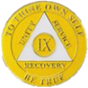 AA Anniversary Coin (Tri-Plate Yellow Gold)